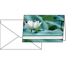 eichhorn-office-solutions202607220059362849799