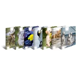 eichhorn-office-solutions202607221414262933650