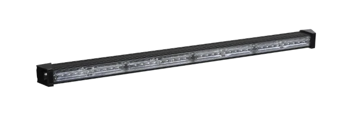 svg-dresden202607201734422673775
