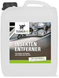 svg-dresden202607201823302678456